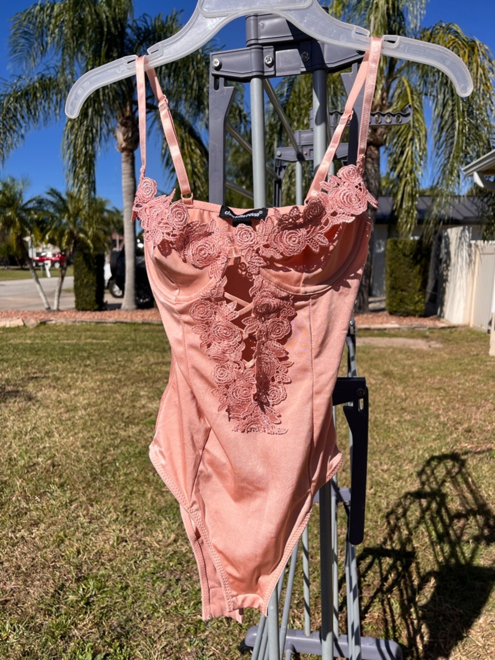 Charlotte Russe Dusty Rose Lace Trim Bodysuit
